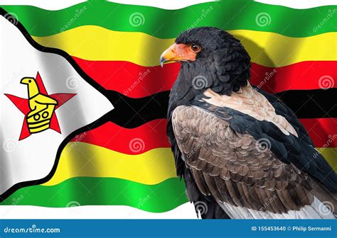 Bateleur Eagle on Front of Zimbabwe Flag Stock Illustration ...