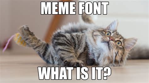 Meme Font - What Is It and Why Do We Use It? - London Grey