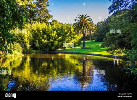 Beautiful Ornamental Lake, Royal Botanic Gardens, Melbourne Australia Stock Photo - Alamy