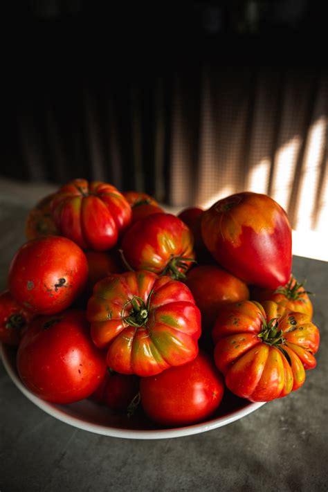 Tomato Sauce Canning Recipe and Guide | Preserve Summer's Bounty ...