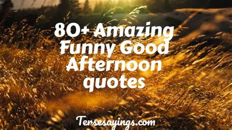 80+ Amazing Funny Good Afternoon quotes