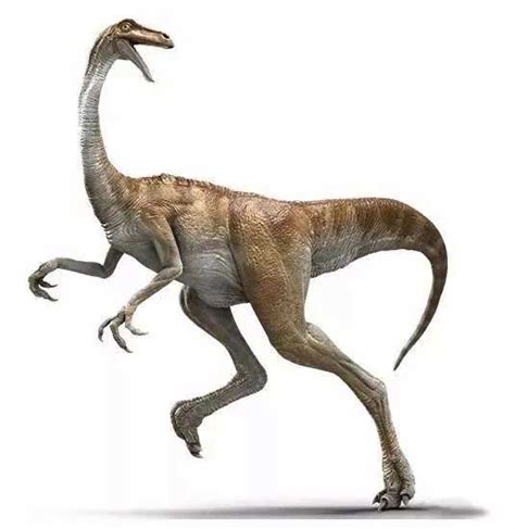 Top 10 Fastest Dinosaurs That Ever Lived (updated)