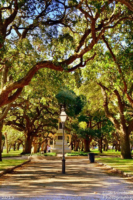 Battery Park Charleston SC by Lisa Wooten | City of charleston, Battery park, Sullivans island