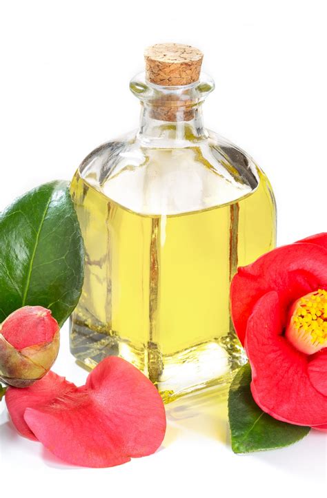 Acemelia: BIO Camellia Oil Factory | Traditional artisan manufacturing