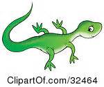 cute newt clipart - Clipground