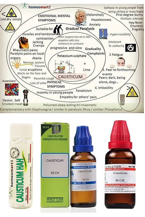 Chart with concentric circles explaining the patient profile of ...