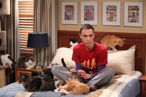 How did Sheldon Cooper win the Nobel Prize?