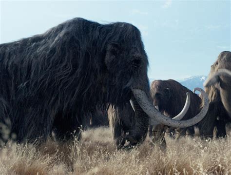 Woolly Mammoths (10,000 BC) | Ultima Wiki | Fandom