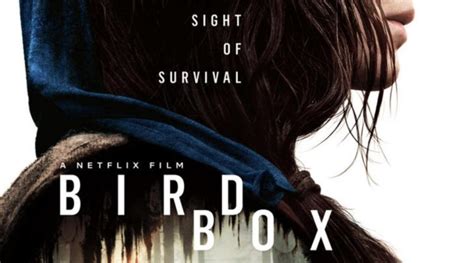 Movie Review : Bird Box – The Wilson Billboard