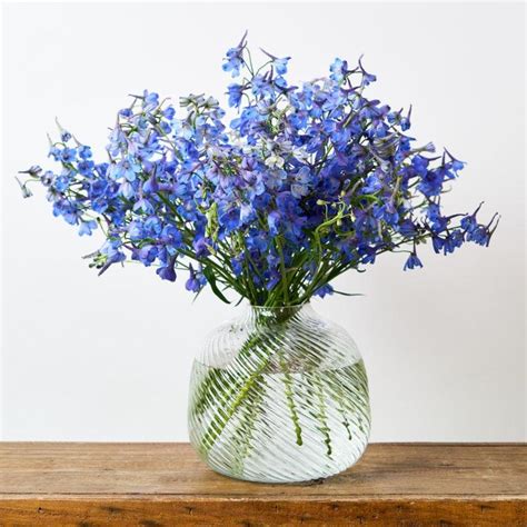 Blue Sapphire Delphinium Arrangement - Fabulous Flowers