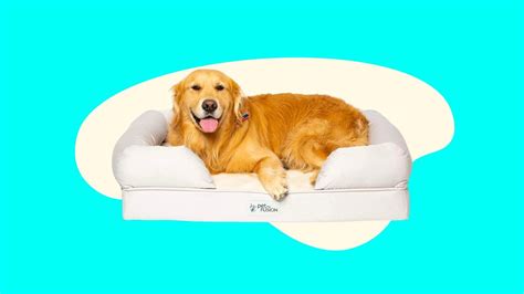 Best Dog Bed For Large Dogs 2023: The PetFusion Ultimate Dog Bed ...