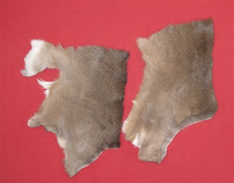 Tanned Furs : WHITE TAIL DEER - MISCELLANEOUS (6395-0018) : hideandfur.com