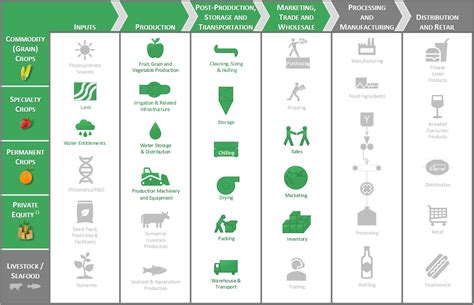 Food and Agriculture Value Chain - AgVictus