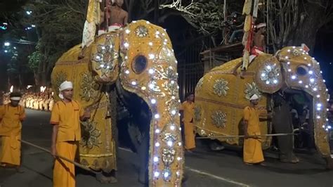 Elephants parade through Sri Lanka streets in annual festival