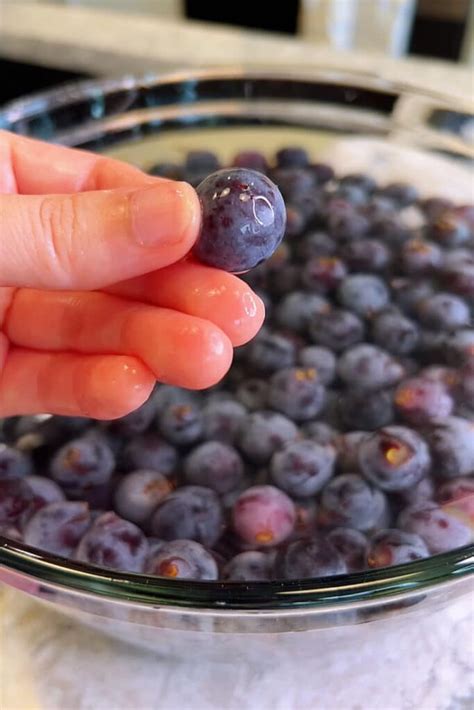 Homemade Grape Wine (2 ingredient recipe) | Recipes with Videos