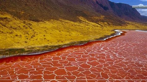 Lake Natron, Tanzania | Amusing Planet