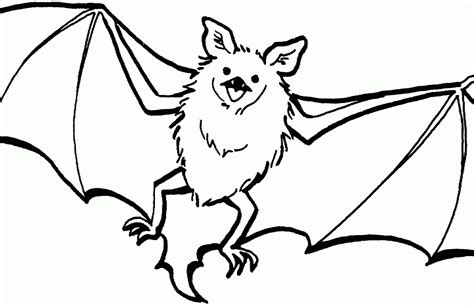 Bat clipart realistic, Bat realistic Transparent FREE for download on WebStockReview 2023