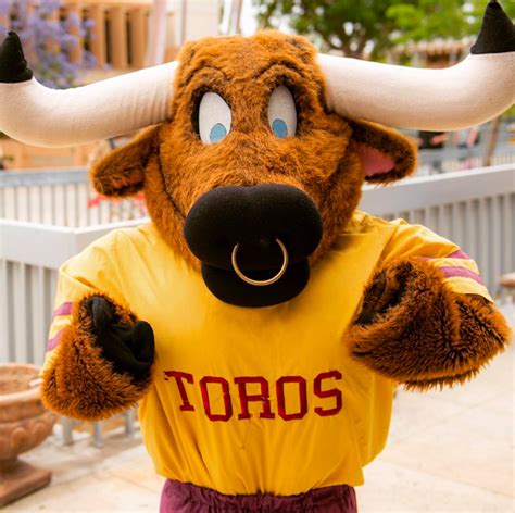 Extreme Makeover: Mascot Edition - The CSUDH Bulletin