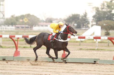 Es De Dato: |PRONOSTICO - HIPODROMO DE LA PLATA - SABADO 19/6/2021|