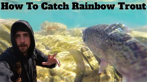 How to Catch Rainbow Trout: Rainbow Trout Fishing Tips and Tricks | SFSC - Fishing