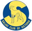 The Saluki dog appearance - SALUKI CLUB OF VICTORIA INC