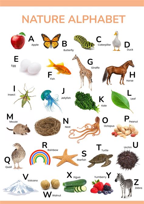 English Alphabet Chart in Illustrator, PDF - Download | Template.net