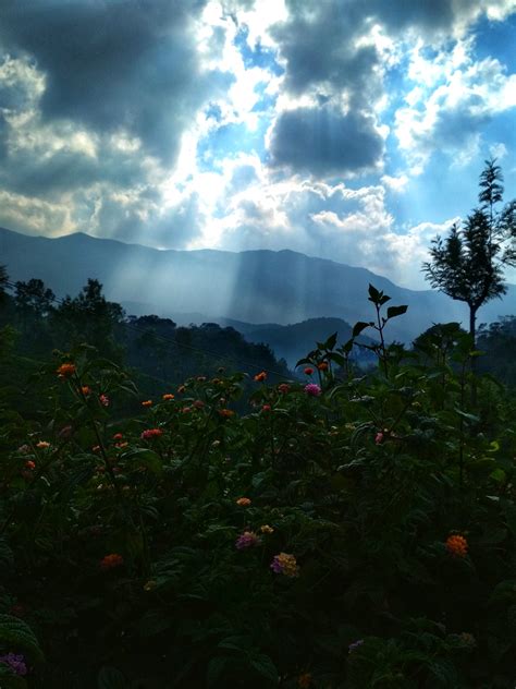 Light Scatter on Munnar Hills [OC] [Munnar Hill Station] [1536 X 2048 ...