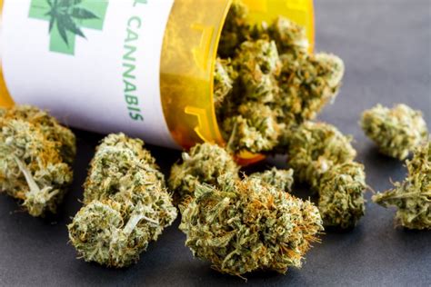 Over 90 percent of medical marijuana in US contains high levels of THC