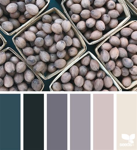 Fresh Hues | Design seeds, Seeds color palette, Design seeds color palette