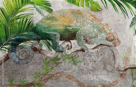 Graphic drawn chameleon on grey concrete grunge wall. Great choise for wallpaper, photo ...