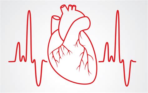 The Electrocardiogram explained - What is an ECG?