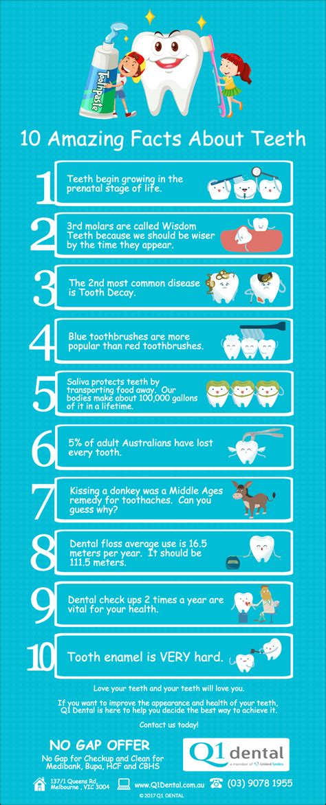 10 Amazing Facts About Teeth | Q1 Dental