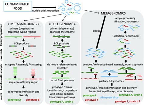 Overview of current NGS strategies for virus sequencing in food. Among... | Download Scientific ...