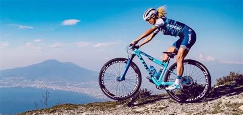 Are Trek Bikes Good?- Let's Find Out! | BikeRenovate