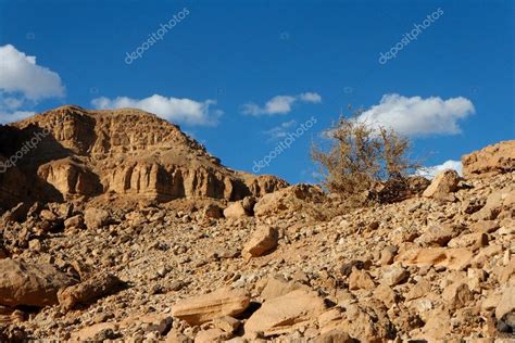 Rocky desert landscape with dry bush — Stock Photo © slavapolo #2500960