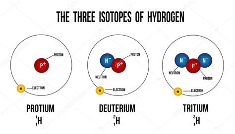 Los tres isótopos del hidrógeno Vector de stock por ©roxanabalint 123763220