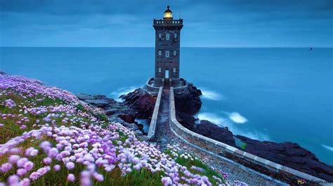 Stone path to the lighthouse among flowers and sea view 2K wallpaper ...