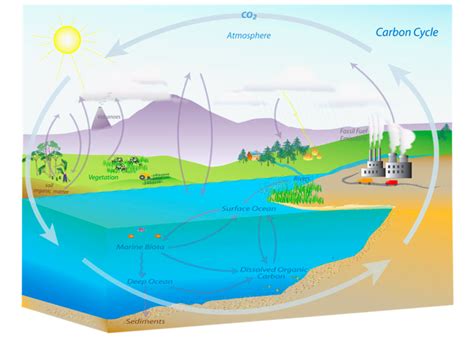 Ocean Acidification - Antarctic and Southern Ocean Coalition