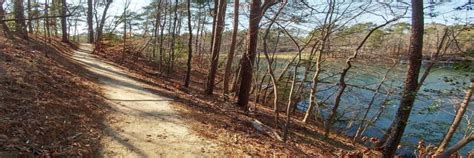 Cliffs Of The Neuse Trail Run & Hike