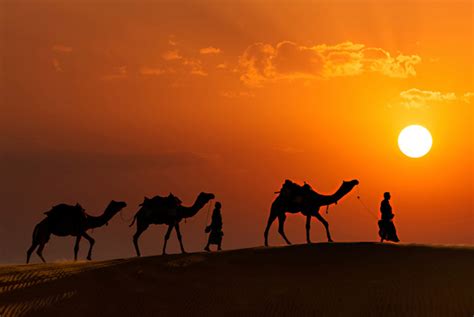 Travel to Rajasthan - Tourism, Destinations, Hotels, Transport