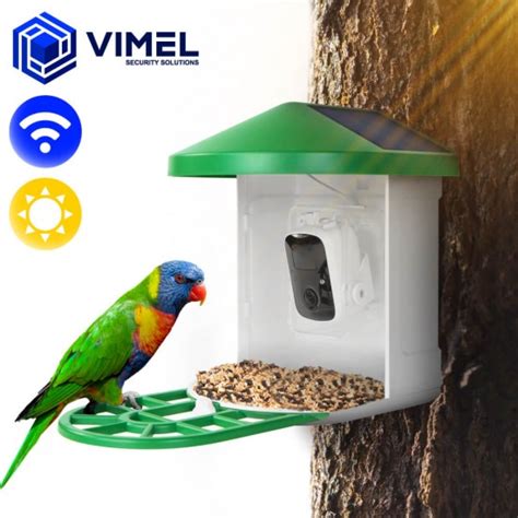 Bird Feeder Outdoor Camera WIFI Live Stream