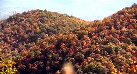 Map: When to see peak Autumn leaf color in the Great Smoky Mountains 2023