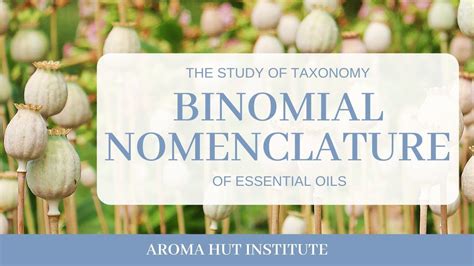 Binomial Nomenclature | Taxonomy Classification | Essential Oils | Taxonomy, Essential oils ...