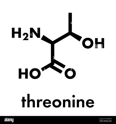 Threonine amino acid molecule Black and White Stock Photos & Images - Alamy