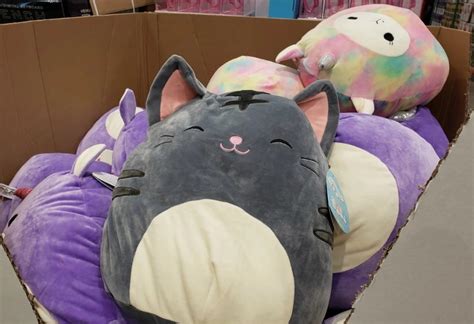 A Guide on the Best Squishmallows at Target - Avid Plush