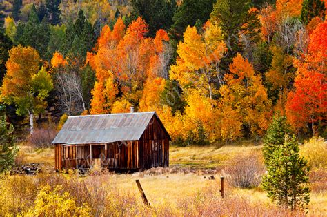 Autumn Cabin Photography Art | theandersongallery