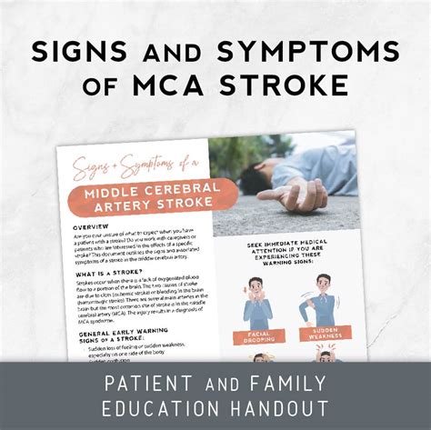 Signs and Symptoms of MCA Stroke – Therapy Insights