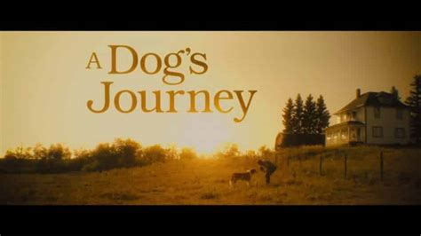 A Dog's Journey (2019) - Summary, Review (with Spoilers)