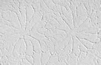 Popular Drywall Textures - Dan the Drywall Man