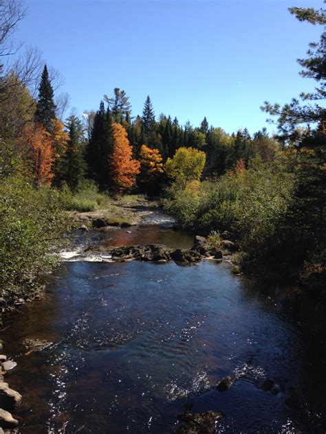 Fall foliage in theNorth Maine Woods | Fall foliage, Northern maine ...